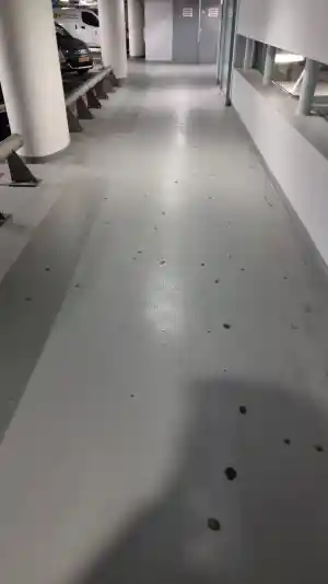 Gum Chasers - Kauwgomverwijderingsservice. Q-Park Mosae Forum..jpg