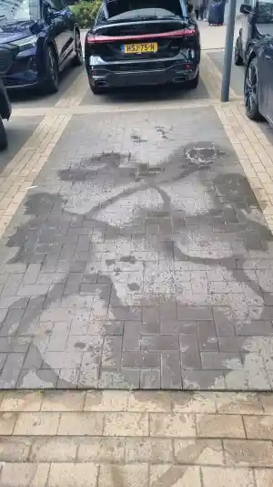 Corendon kauwgom verwijdering dag 2.jpg