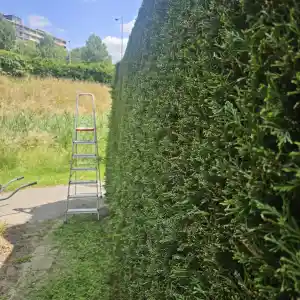 hovenier_rotterdam_Okkerse_Tuinonderhoud_2.jpg