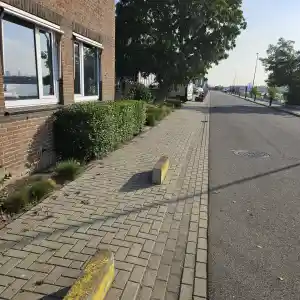 hovenier_rotterdam_Okkerse_Tuinonderhoud_3.jpg
