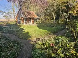 hovenier_rotterdam_Okkerse_Tuinonderhoud_5.jpg