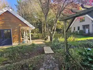 hovenier_rotterdam_Okkerse_Tuinonderhoud_6.jpg