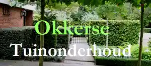 hovenier_rotterdam_Okkerse_Tuinonderhoud_4.jpg