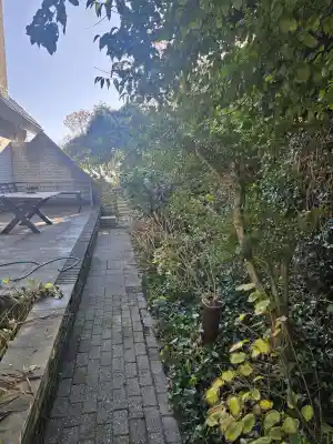 hovenier_rotterdam_Okkerse_Tuinonderhoud_5.jpg