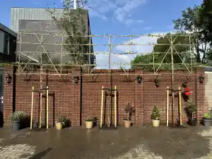 Leibomen geplant .jpg