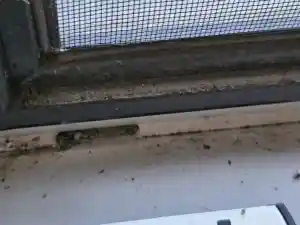 Binnen en buiten glasbewassing.jpg