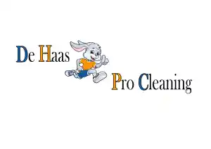 gevelreiniging_rhoon_De_Haas_Pro_Cleaning_2.jpg