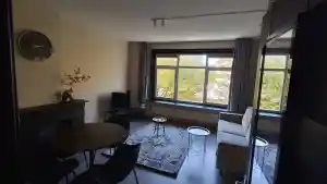 schoonmaakbedrijf_den-haag_Alpha_cleanic_5.jpg