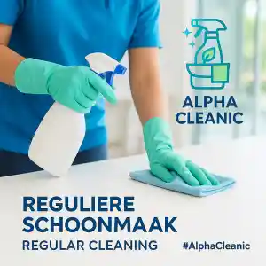 schoonmaakbedrijf_den-haag_Alpha_cleanic_5.jpg
