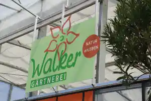 gartner_altusried_Gärtnerei_Walker_3.jpg