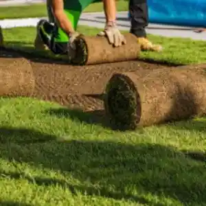 gartner_dietzenbach_GrünOase_Gartenservice_7.jpg