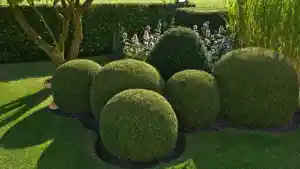 gartner_dietzenbach_GrünOase_Gartenservice_3.jpg