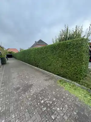 gartner_kiel_Hyseni_Gartenbau_6.jpg