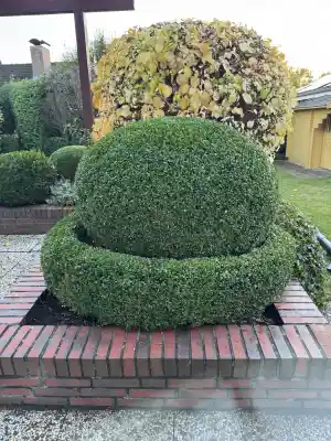 gartner_kiel_Hyseni_Gartenbau_3.jpg