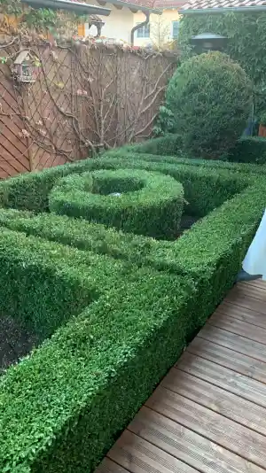 gartner_bobingen_NKern_Gartenpflege_3.jpg
