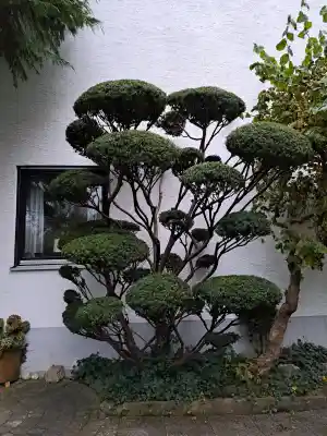 gartner_bobingen_NKern_Gartenpflege_4.jpg