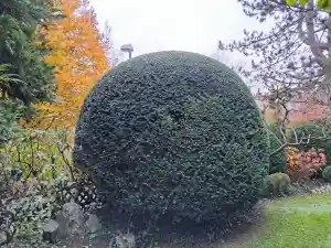 gartner_bobingen_NKern_Gartenpflege_5.jpg