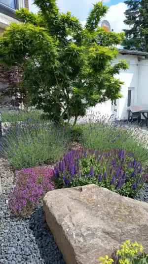 gartner_hanau_Wendt_Garten-_und_Landschaftsbau_3.jpg