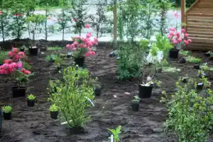 gartner_bardowick_Rohwer_Garten-_und_Landschaftsbau_4.jpg