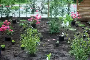 gartner_bardowick_Rohwer_Garten-_und_Landschaftsbau_5.jpg
