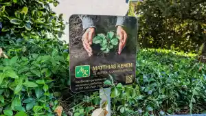 gartner_k%C3%B6ln_Matthias_Keren_GmbH_5.jpg