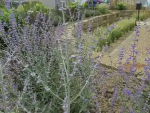gartner_linz-am-rhein_Stefan_Keiser_Gartengestaltung_4.jpg