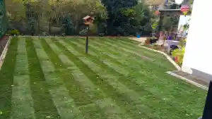 gartner_paderborn_Gartenbau_SO_-_Sascha_Özyurt_3.jpg