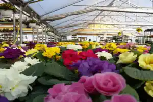 gartner_flu%C3%9Fbach_Gartenland_Schmitt_5.jpg