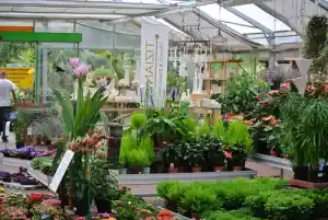 gartner_flu%C3%9Fbach_Gartenland_Schmitt_4.jpg