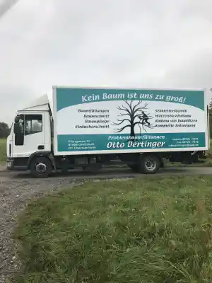 gartner_grettstadt_Problembaumfällung_Dertinger_KG_5.jpg