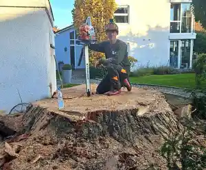 gartner_talheim_Johannes_Buck_-_Baumfällung,_Baumpflege,_Heckenschnitt,_Wurzelentfernung_5.jpg