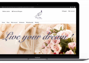 webdesign_antwerpen_Ozon_webdesign_5.jpg