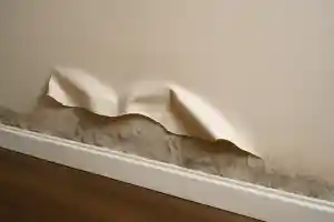 Behandeling opstijgend vocht achter loslatend behang.jpg