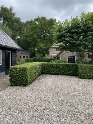 stratenmaker_ermelo_Robert_van_Kempen_Tuinen.__2.jpg