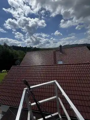 Dachreiningung .jpg
