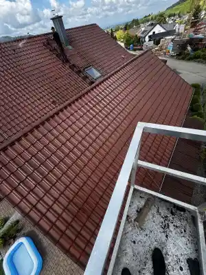 Dachreiningung .jpg