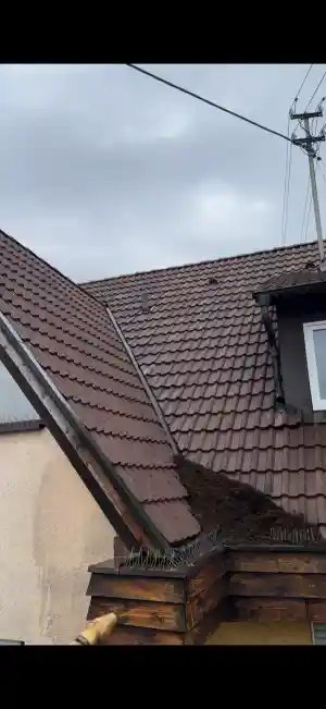 hausmeisterservice_kehl_L&S_Gebäudeservice__7.jpg