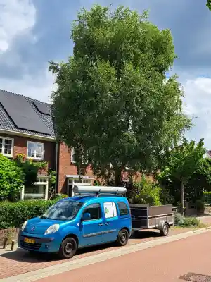 boomverzorging_den-bosch_Natuurlijk_Stella_4.jpg