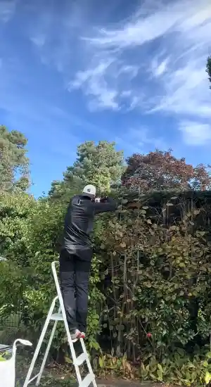 Grünflächenpflege .jpg