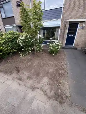 Struiken verwijdering.jpg
