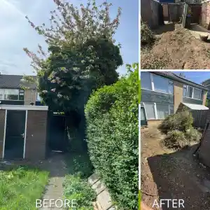 Struik&boom inclusief wortels verwijderd.jpg