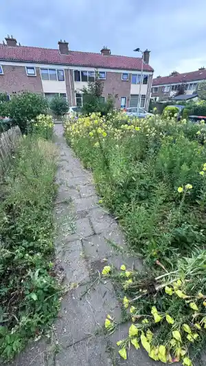 Onkruidvrij onderhoudpakket.jpg