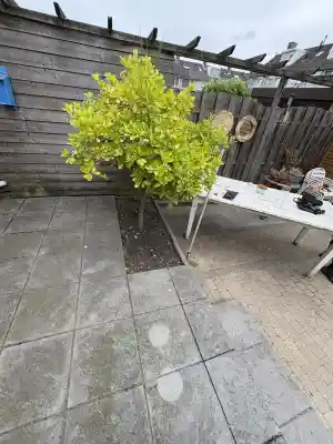 Onderhoudpakket onkruidvrijmaken.jpg