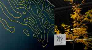 Houthandel Tavernier.jpg