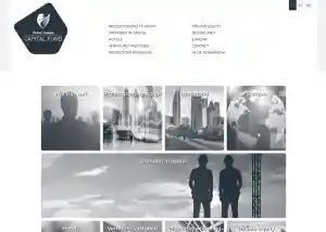 Standaard website inversteringsfonds.jpg