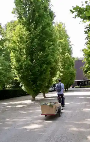 uitvaartverzorger_diemen_Paola_Cannito_Uitvaartzorg_7.jpg
