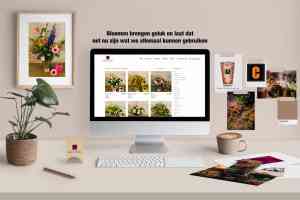 webdesign_bonheiden_Webclix_3.jpg