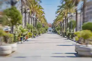 agencia-inmobiliaria_vicar_DANTI_Servicios_Inmobiliarios_6.jpg