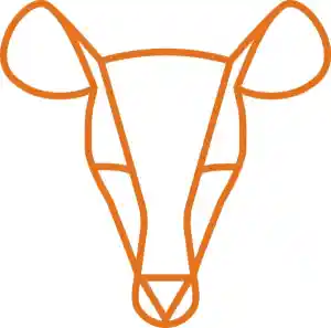 webdesign_mechelen_Okappi_2.jpg