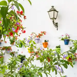agencia-inmobiliaria_marbella_Inmobiliaria_Gálvez_Cañero_5.jpg